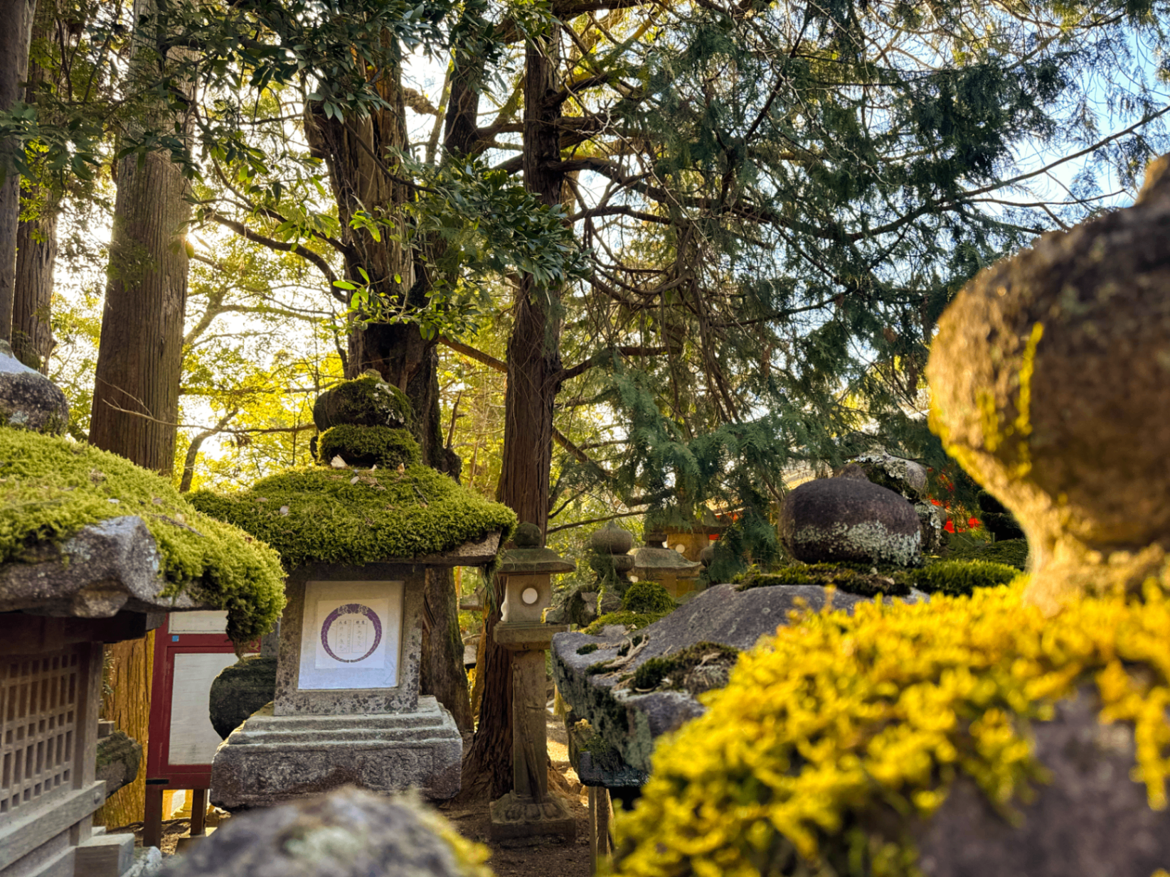 Ruhiger Moosgarten in einem japanischen Tempelbezirk